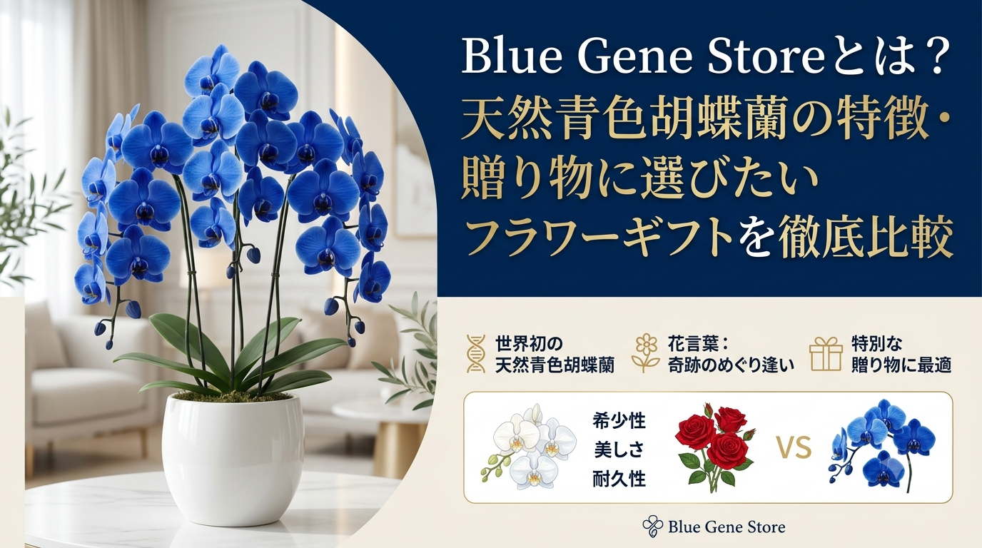 Blue Gene Storeとは？天然青色胡蝶蘭の特徴・贈り物に選びたいフラワーギフトを徹底比較