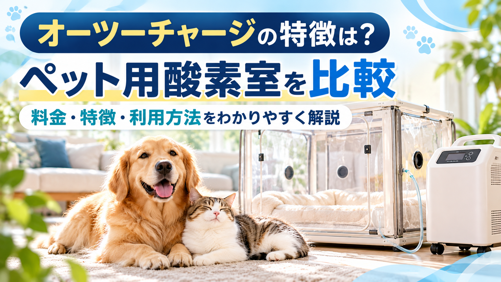 オーツーチャージの特徴は？ペット用酸素室の料金・酸素濃度・利用方法を比較